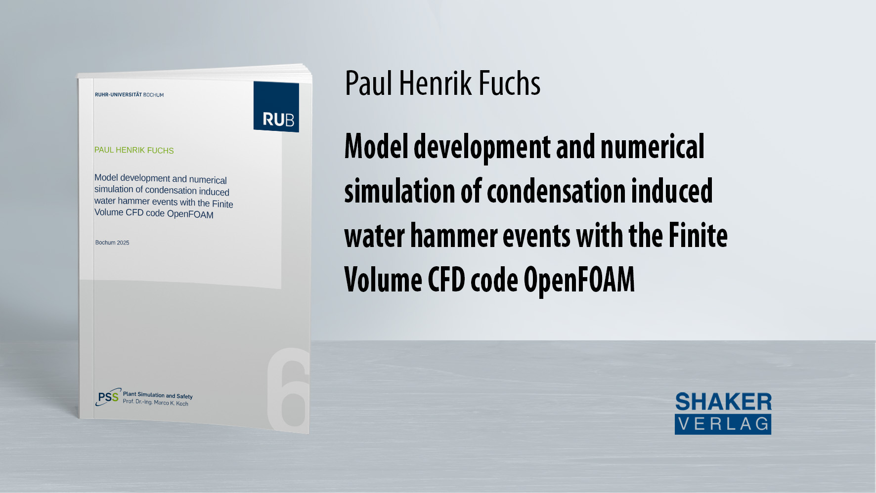 Paul Henrik Fuchs - Model development and numerical simulation of ...